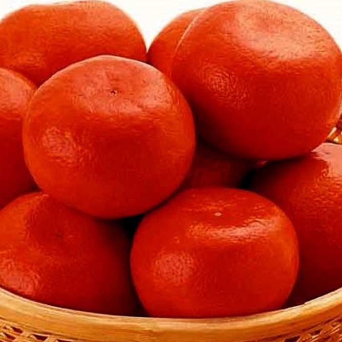 【全2回フルーツ定期便】さぬき讃フルーツ　さぬきゴールドと小原紅早生みかん【C-24】