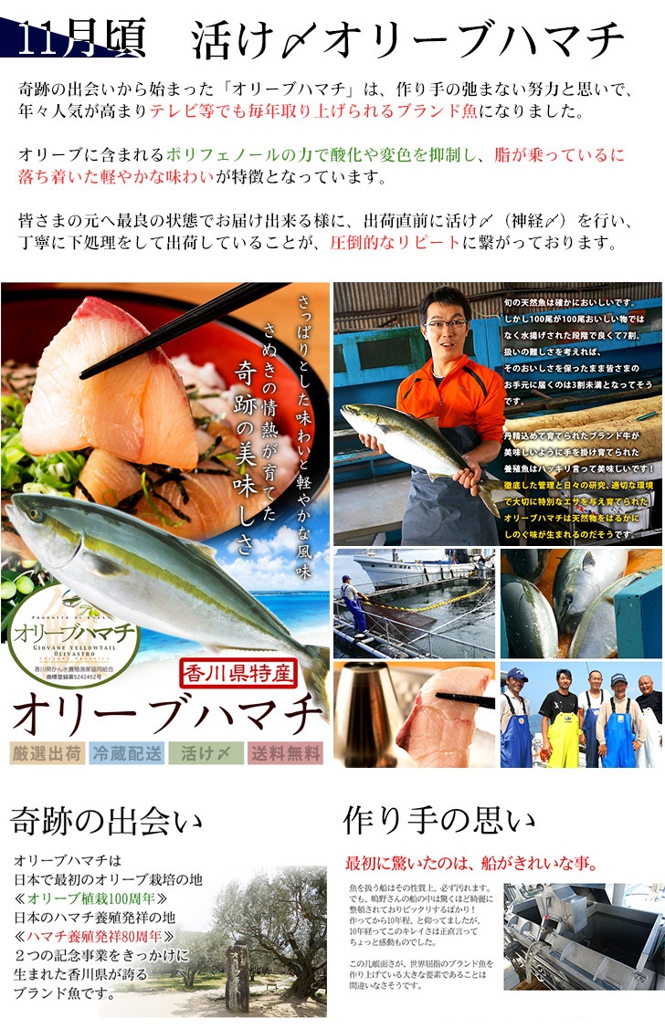 【定期便】瀬戸内海鮮「旬」お届けセット(1年で5回のお届けとなります)【G-1】