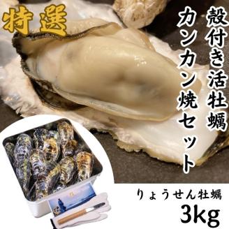 殻付活牡蠣カンカン焼セット3kg(加熱用)（予約受付中：旬にお届け！2025年12月中旬頃から期間限定出荷！）【H-1】