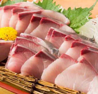 オリーブはまち１本まるごと（半身カット）【予約受付：令和7年10月中旬頃から出荷開始！】【C-312】