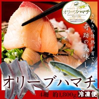 オリーブハマチ　冷凍　柵４本【B-53】