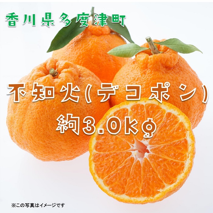 不知火（デコポン）約3kg【予約受付中！令和8年2月中旬より発送】【A-42】