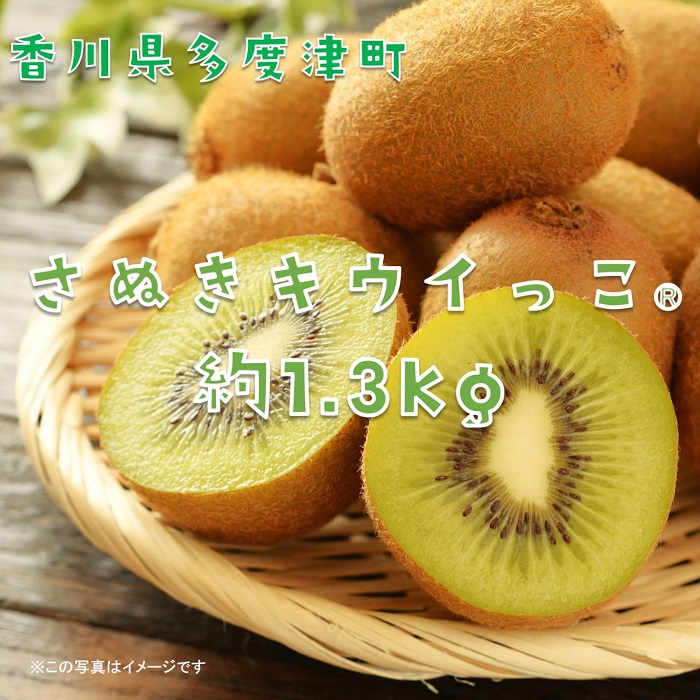 香川県オリジナルキウイフルーツ「さぬきキウイっこ®」1.3kg【予約受付中！令和7年11月上旬頃から発送】【A-46】