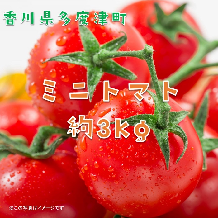 ミニトマト　約３kg【B-23】