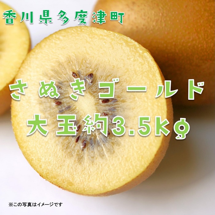 香川県オリジナルキウイフルーツ『さぬきゴールド』大玉約3.5kg【予約受付中！令和7年10月中旬頃から発送】【C-16】
