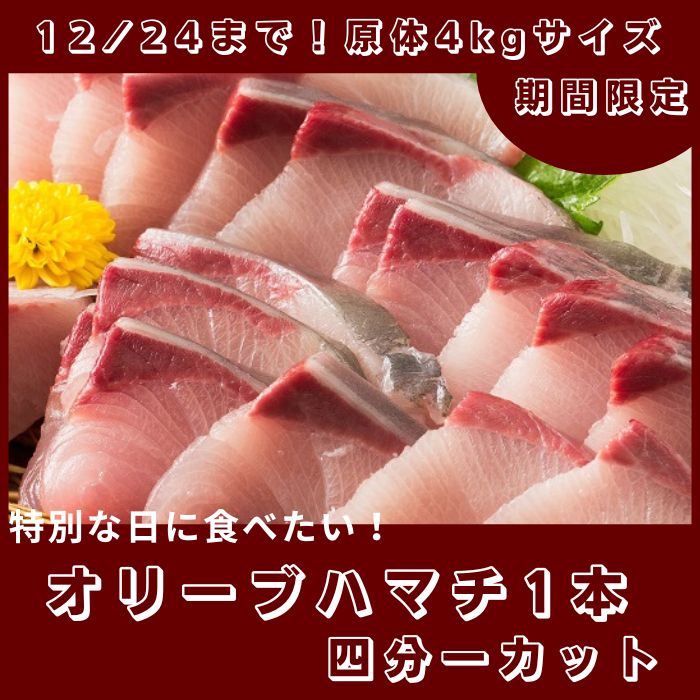 期間限定受付　オリーブハマチ１本まるごと（四分一カット）【C-233】