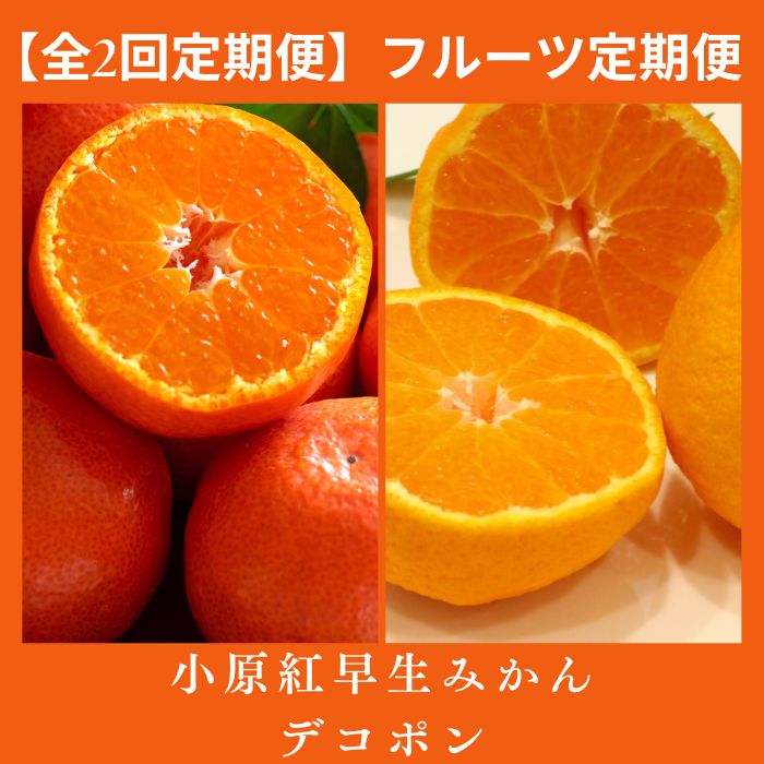 【全2回フルーツ定期便】さぬき讃フルーツ　不知火(デコポン)と小原紅早生みかん【C-28】
