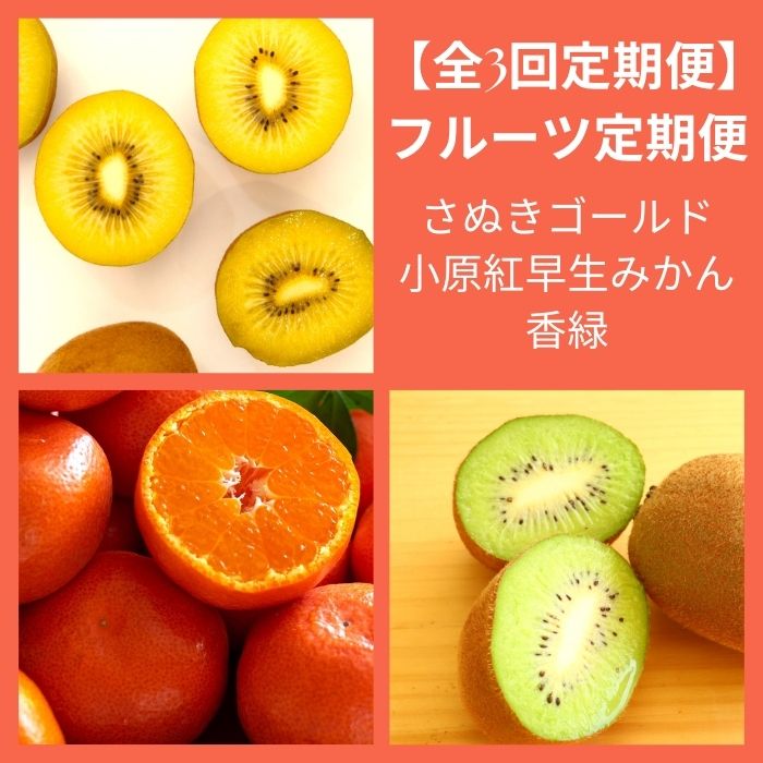 【全3回フルーツ定期便】さぬき讃フルーツさぬきゴールドと小原紅早生みかんと香緑【D-13】