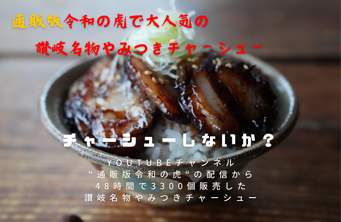 讃岐名物やみつきチャーシュー500g【H-67】