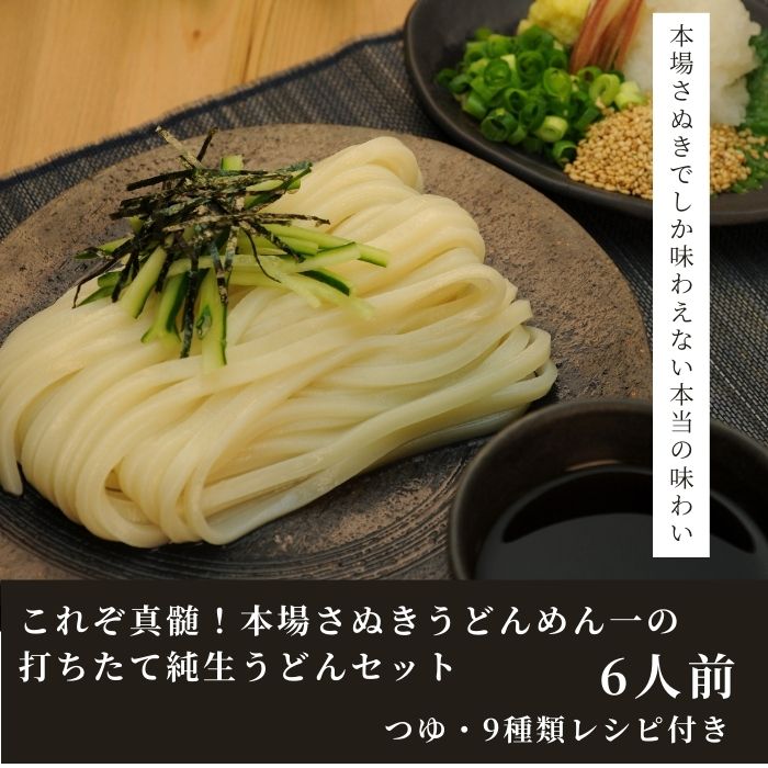 純生！これぞ真髄！本場さぬきうどんめん一の打ちたてうどんセット(6人前)【L-11】