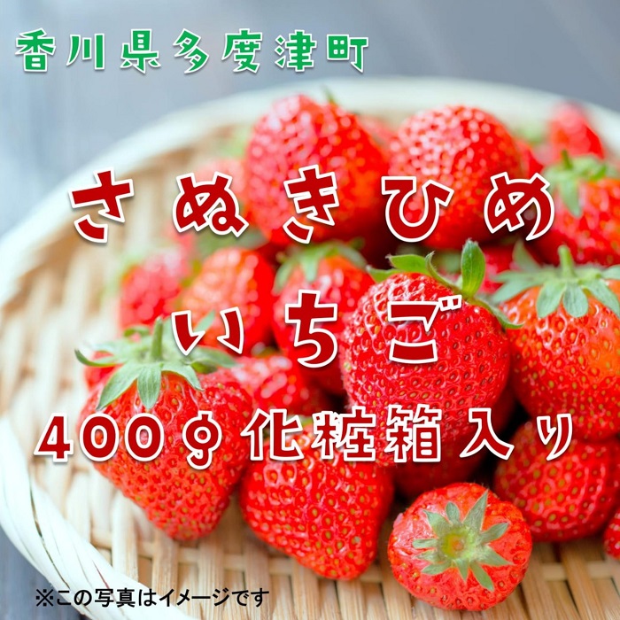 さぬきひめいちご 約400g化粧箱入り(12～18粒)【予約受付中：令和7年12月より発送】【L-39】