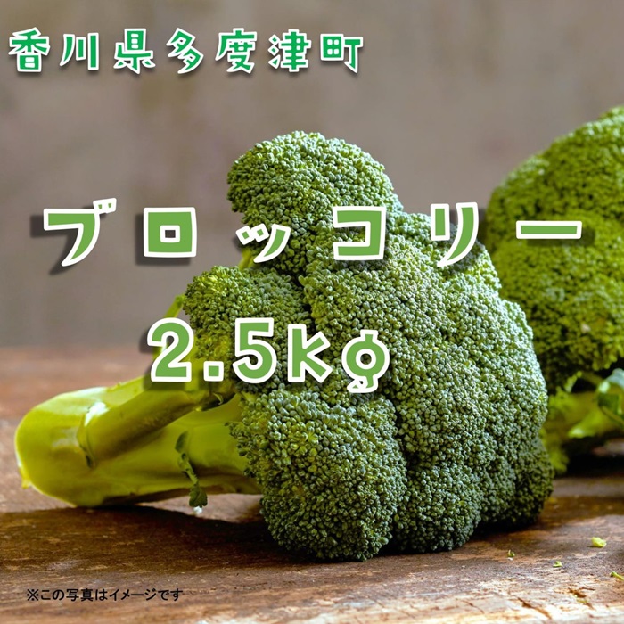 ブロッコリー約2.5kg　サイズおまかせ【L-70】
