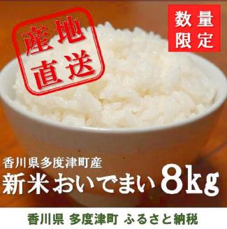 多度津町産 新米 おいでまい【令和7年産新米:11月頃より発送】（白米８kg）【A-11】