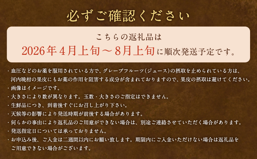 贈答用 河内晩柑 10kg