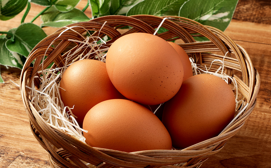 EMハーブ卵 20個 セット （内割れ保証2個） たまご 卵 玉子 タマゴ 国産 愛媛県産【えひめの町（超）推し！（内子町）】 （478）