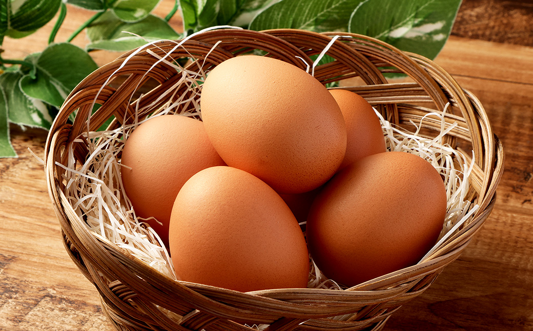 米っ娘卵 20個 セット（内割れ保証2個） たまご 卵 玉子 タマゴ 国産 愛媛県産 【えひめの町（超）推し！（内子町）】 （480）