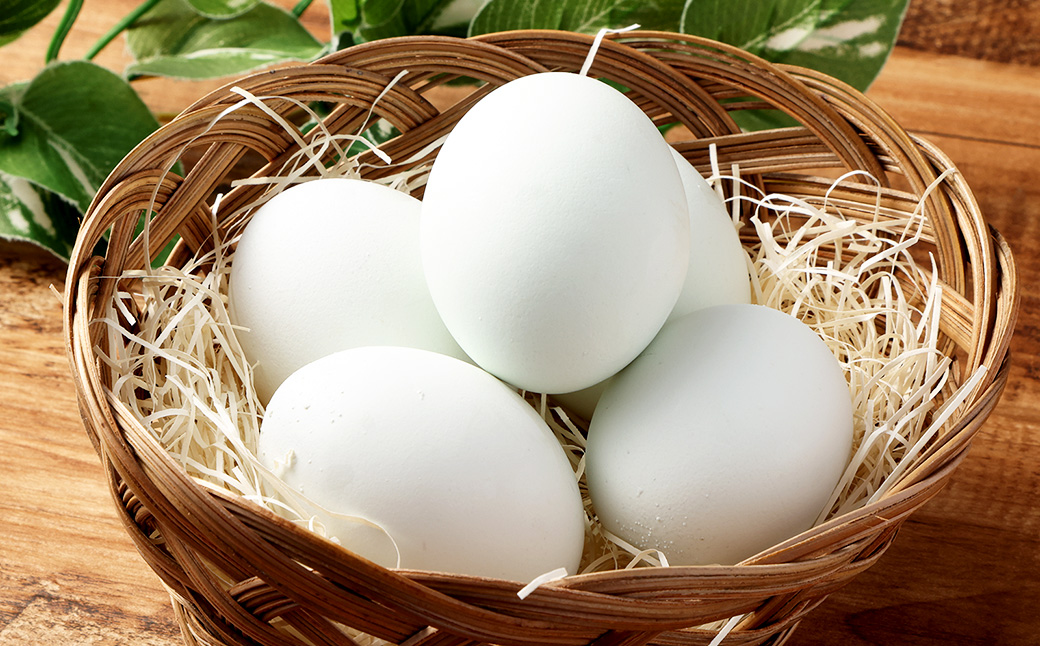 インカの卵 50個 セット （内割れ保証5個） たまご 卵 玉子 タマゴ 国産 愛媛県産 【えひめの町（超）推し！（内子町）】 （486）