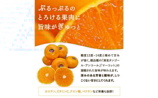 せとか 4L～L 約5kg みかん ミカン 蜜柑 果物 くだもの フルーツ 柑橘 【2025年2月下旬－4月下旬発送予定】（821）
