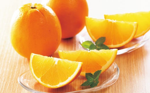 愛媛県産 プリンセスネーブル L～2Lサイズ 2kg