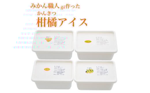 みかん職人が作った柑橘アイス1000ml×4種