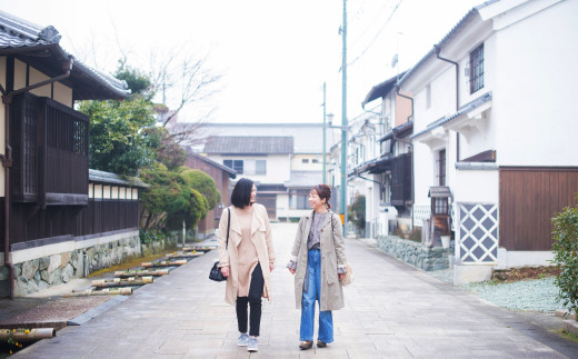 ”プライベートガイドと巡る” 臥龍山荘 と シネマ散策 「6名様」 旅行 ガイド付き ガイド 散策 トラベル 観光 チケット （801）