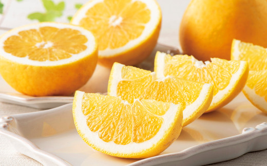 愛媛県産 河内晩柑 4kg（12～14個） （873）