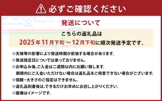 にしうわみかんL～Sサイズ （約5kg） みかん 蜜柑 柑橘 果物 くだもの フルーツ【2025年11月下旬～2025年12月下旬発送予定】(518-1)