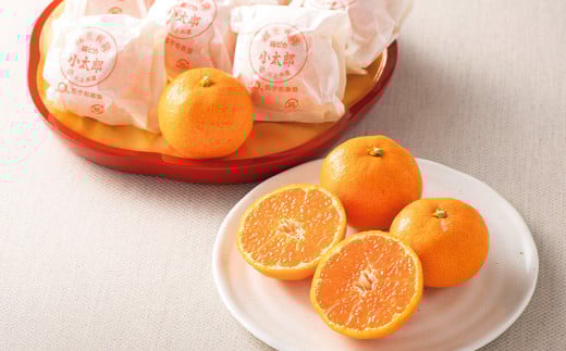 愛媛県産 小太郎みかん 2Sサイズ 720g（12個）