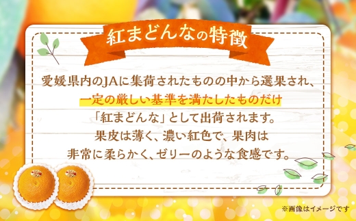 紅まどんな約2.5kg(1120)