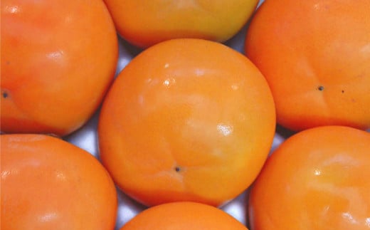 かき酢 【内子町産富有柿使用 醸造酢】 500ml×1本 調味料 柿 かき カキ 富有柿 酢 果実酢 柿酢 愛媛県 【えひめの町（超）推し！（内子町）】（541）