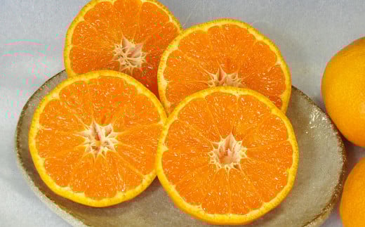 カラマンダリン L～Mサイズ （約5kg）（523）