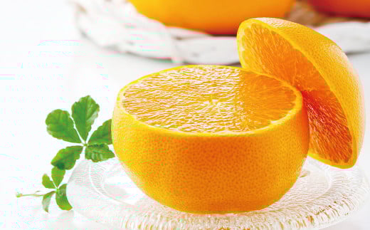 愛媛県産宇和島産 せとか 秀L～2Lサイズ 1.8kg （8～10個）