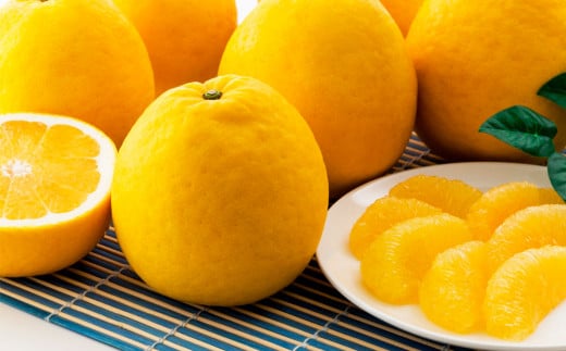 河内晩柑 （宇和ゴールド） 2L～Lサイズ 晩柑 ばんかん 柑橘 果物 くだもの フルーツ【2026年4月上旬～2026年5月上旬発送予定】(522-1)