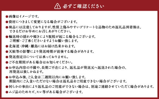 内子町産 シャインマスカット ムジ 3～5房入 約2kg