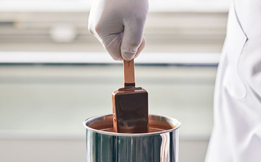 ハーゲンダッツバー バニラチョコレートマカデミア 12本セット