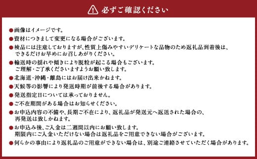 内子町産 ピオーネ 青秀以上 4～6房 約2kg