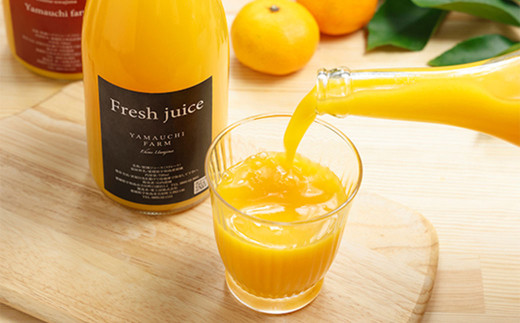 かんきつジュースセット【3本】（893）