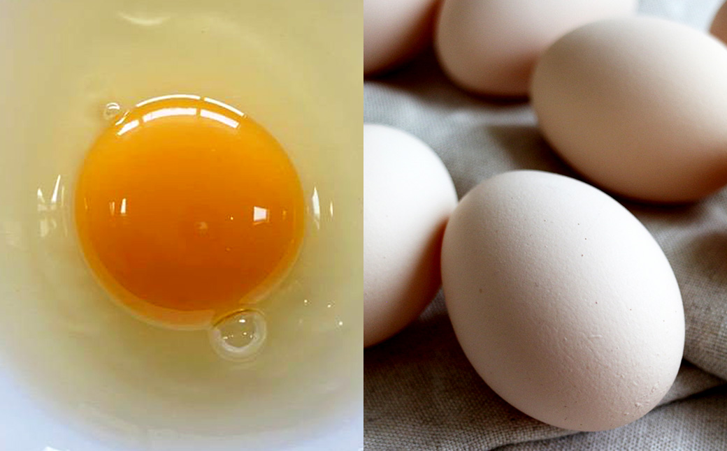 ひめ卵プラス 20個 セット （内割れ保証2個） たまご 卵 玉子 タマゴ 国産 愛媛県産 【えひめの町（超）推し！（内子町）】 （477）