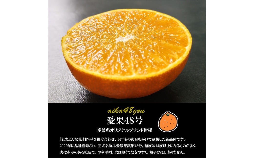 【希望の島】 愛果48号 特選品 中玉 2kg