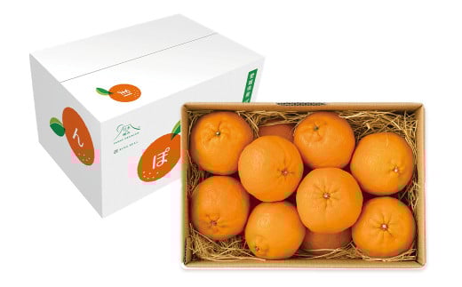 愛媛県産 ぽんかん 2kg（10～14個）