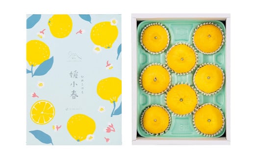 愛媛県産 媛小春 1.5kg（8～13個）