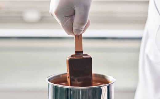 ハーゲンダッツバー 20本セット