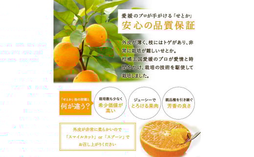 せとか 4L～L 約5kg みかん ミカン 蜜柑 果物 くだもの フルーツ 柑橘 【2025年2月下旬－4月下旬発送予定】（821）