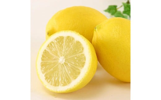 【希望の島】レモン特選品中玉2kg