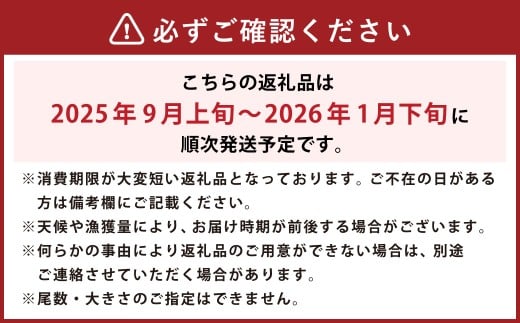 伊勢海老 1kg以上 （846）