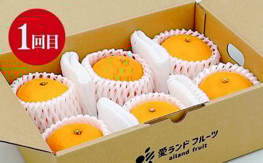 愛媛の旬のフルーツ3回定期便