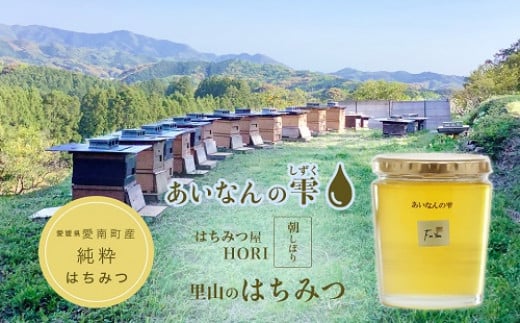 はちみつ 450g 蜂蜜 ハチミツ 蜜 みつ ミツ 常温 国産 愛媛県 【えひめの町（超）推し！（愛南町）】【2025年5月下旬から順次発送予定】（327）