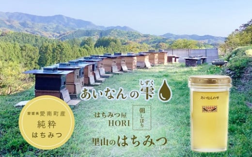 はちみつ 250g 蜂蜜 ハチミツ 蜜 みつ ミツ 常温 国産 愛媛県 【えひめの町（超）推し！（愛南町）】【2025年5月下旬から順次発送予定】（328）