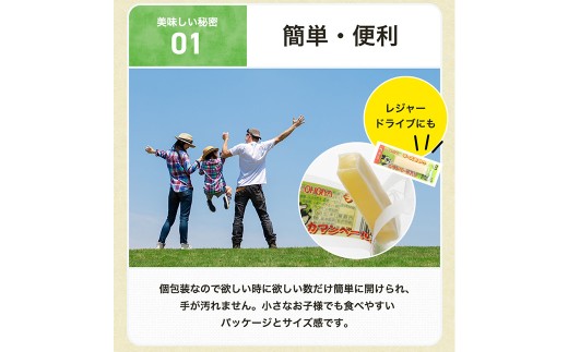 【6ヶ月定期便】 濃厚チーズの一口チーズおやつ 個包装 約300g×1袋 （計約1.8kg） 6回定期便 カマンベール 魚肉シート チーズ おやつ 加工品 定期便 国産 愛媛 常温 【えひめの町（超）推し！ （松前町）】 （941）