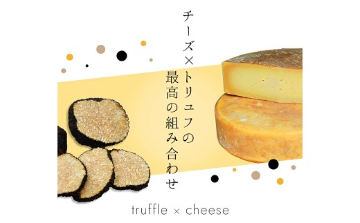 トリュフチーズ 42g×3袋 （計126g） トリュフ チーズ おつまみ つまみ 加工品 愛媛県 常温 【えひめの町（超）推し！ （松前町）】 （935）